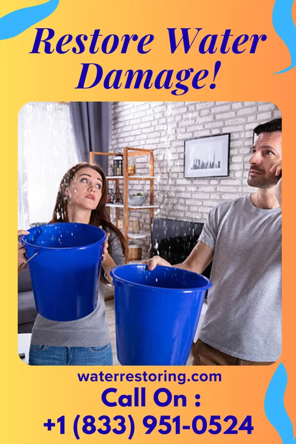 water restoration Precision Damage Recovery Force Fisher