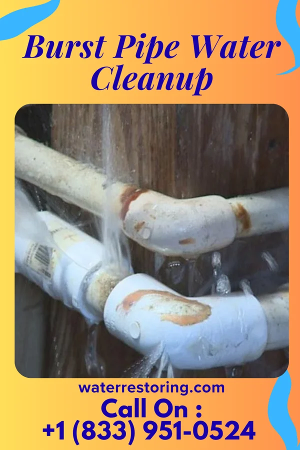 Burst Pipe Water Cleanup in Fisher, MN