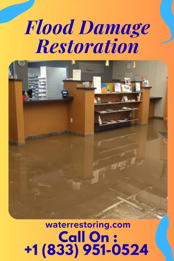 Flood Damage Restoration in Fisher, MN