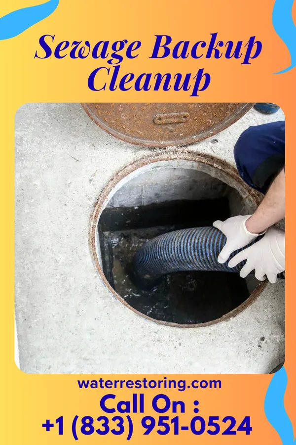 Sewage Backup Cleanup in Fisher, MN